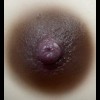 Dark Brown Areola 